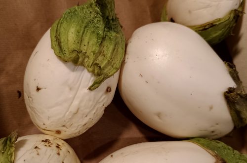 Imatge albergínia blanca
