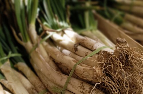 Imatge_calçots