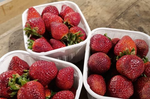 Imatge_maduixots Maresme