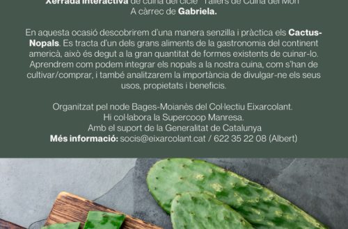 WhatsApp Image 2026-02-06 at 12.32.52 PM